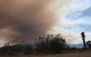 Fire in San Gabriels from RSF Summer 2012