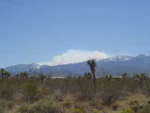 Wildfire in Phelan 2008
